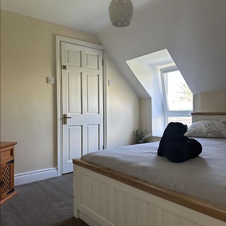 The Grapevine Hostel ディングル エクステリア 写真