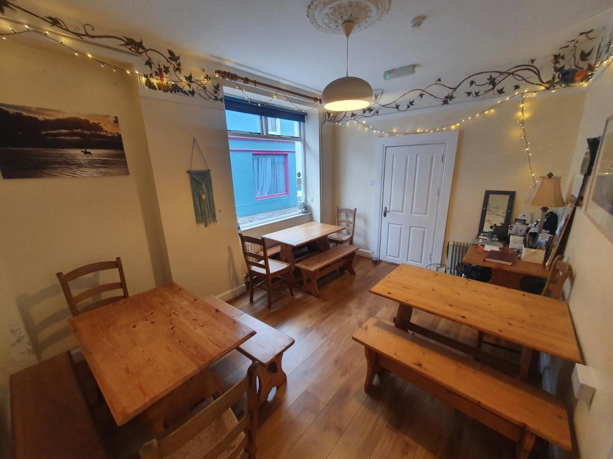 The Grapevine Hostel ディングル エクステリア 写真