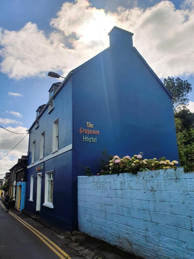 The Grapevine Hostel ディングル エクステリア 写真