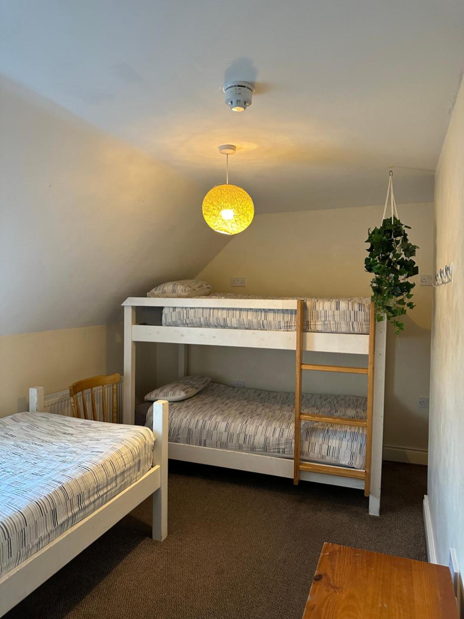The Grapevine Hostel ディングル エクステリア 写真