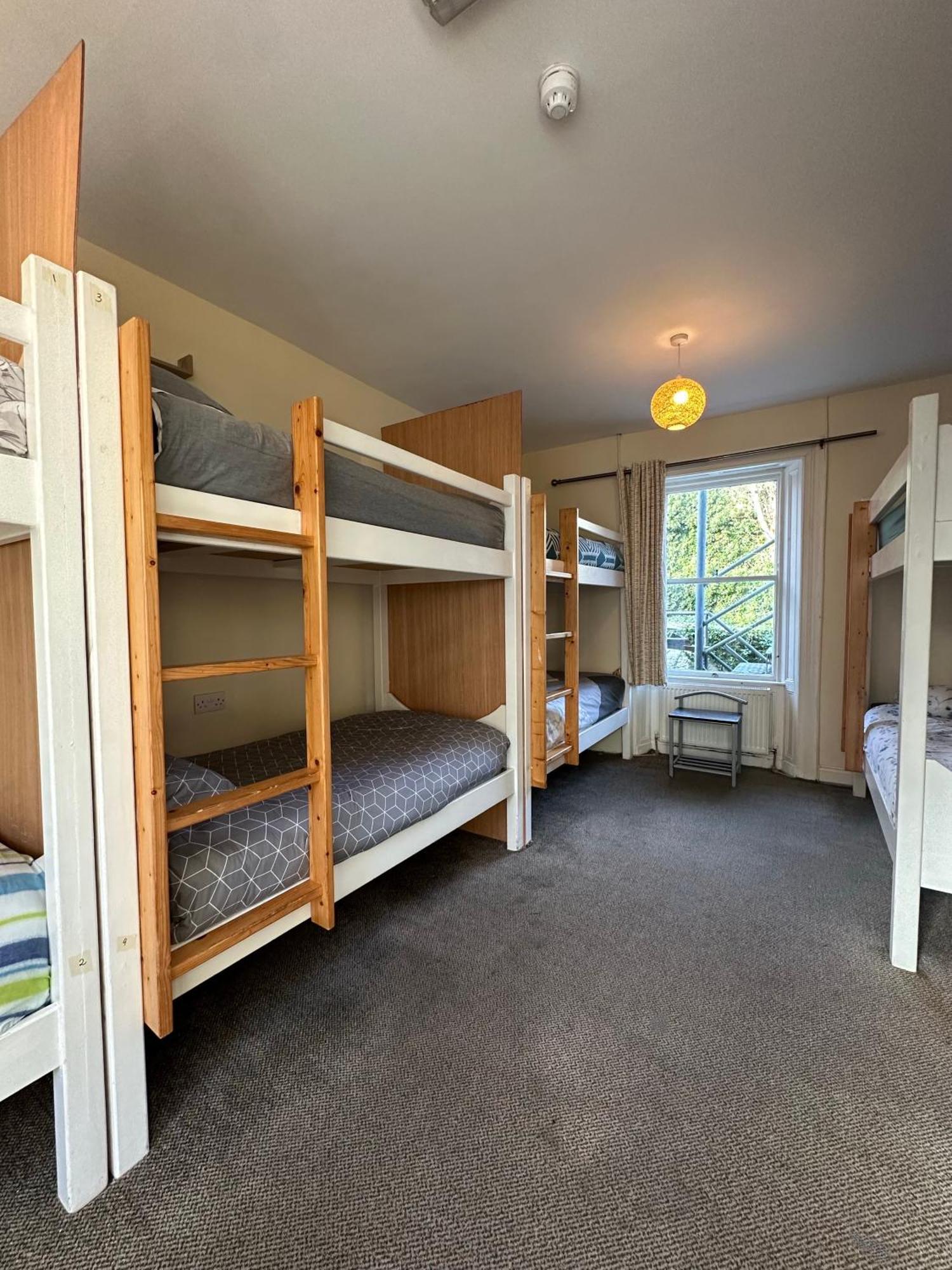 The Grapevine Hostel ディングル エクステリア 写真