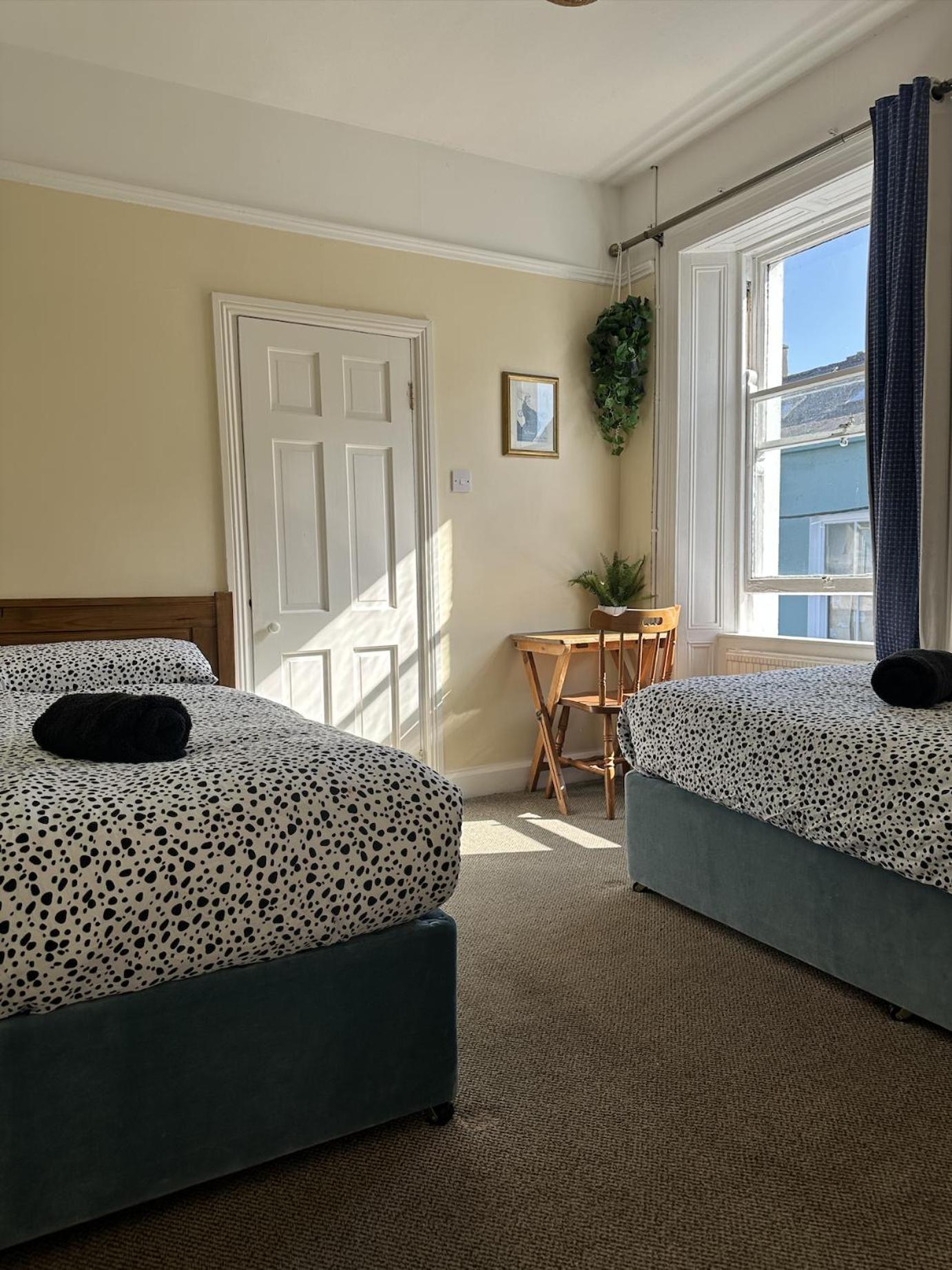 The Grapevine Hostel ディングル エクステリア 写真