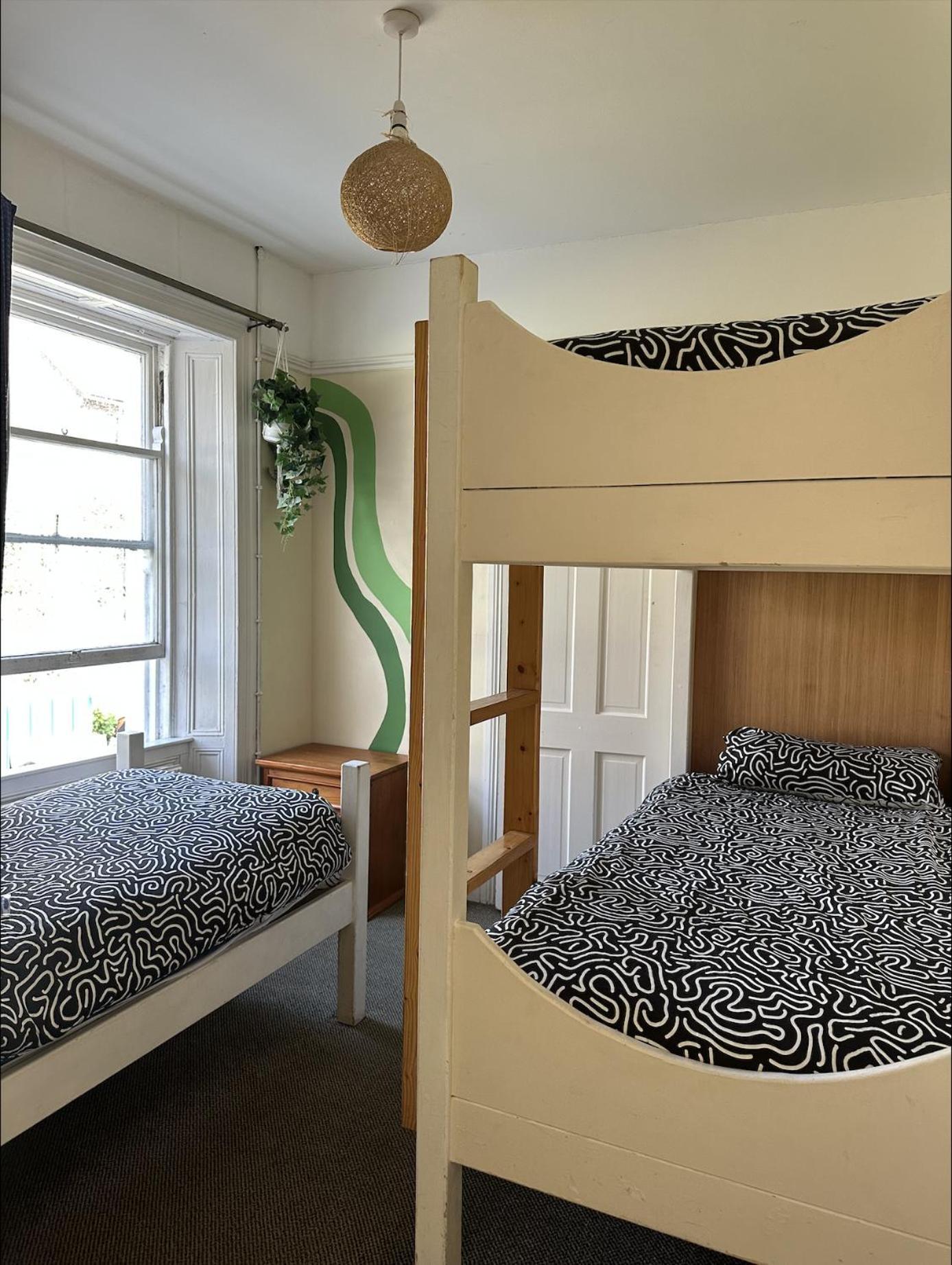 The Grapevine Hostel ディングル エクステリア 写真